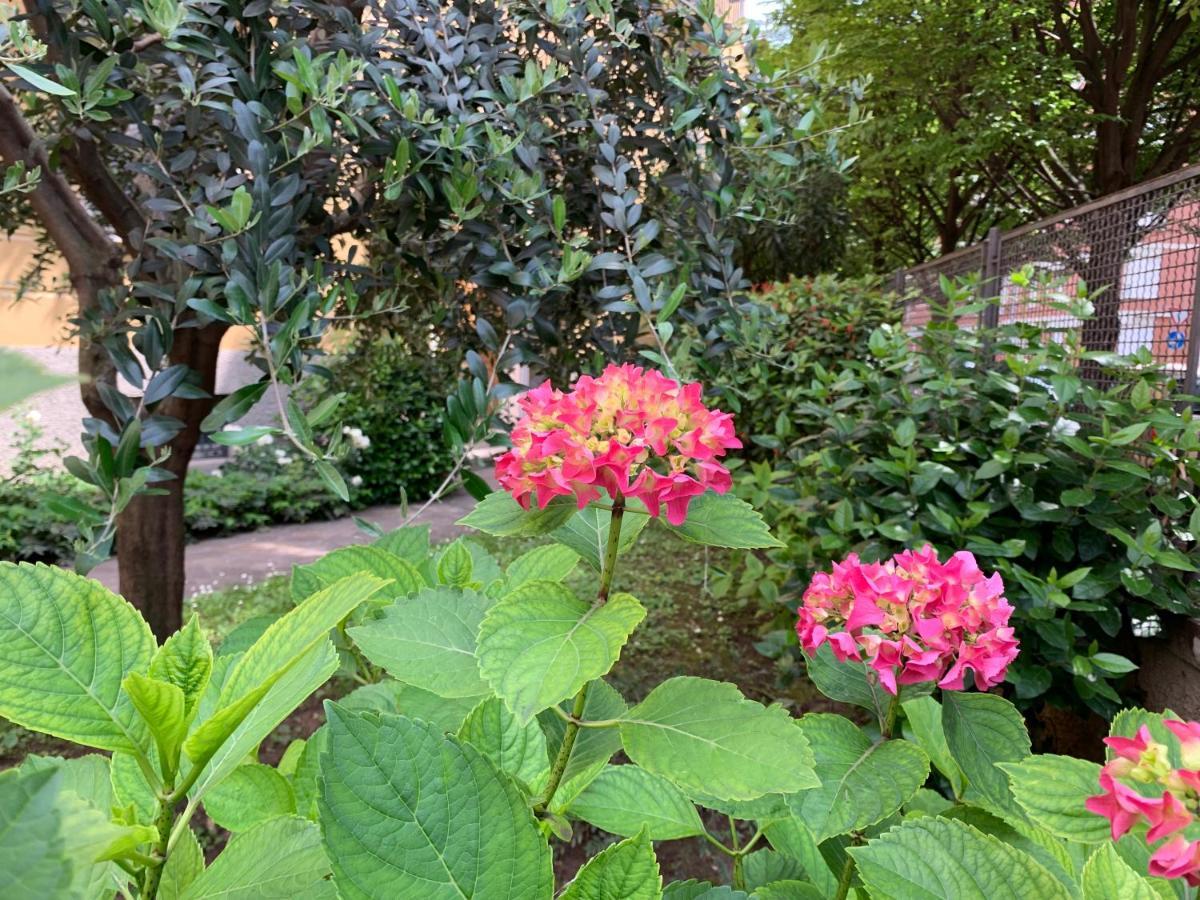 Casa Beraldini Leilighet Verona Eksteriør bilde