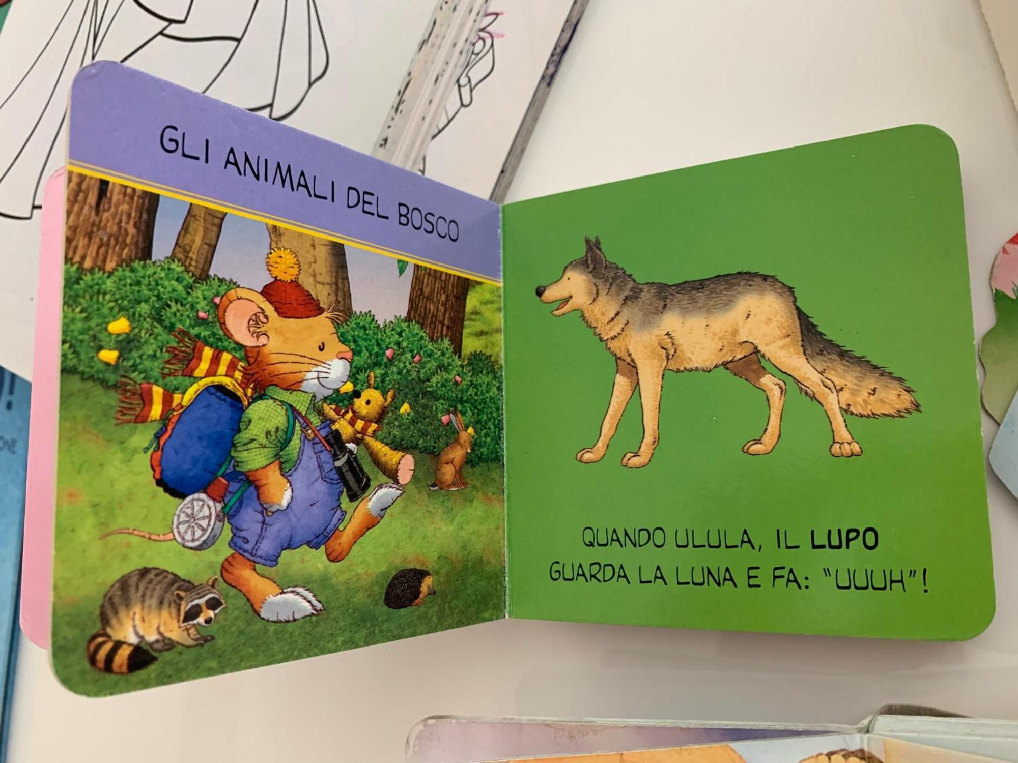 Casa Beraldini Leilighet Verona Eksteriør bilde